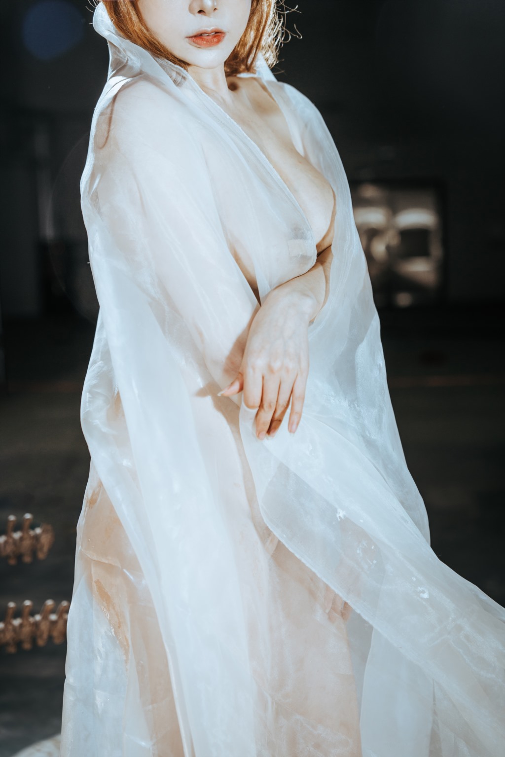 秋和柯基 – 纱