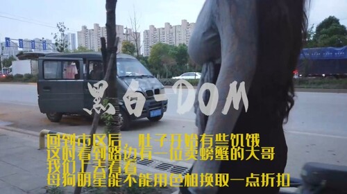 私密字母交流圈两位大神黑白-DOM-老Zz牛逼作品集[31V/4600MB]