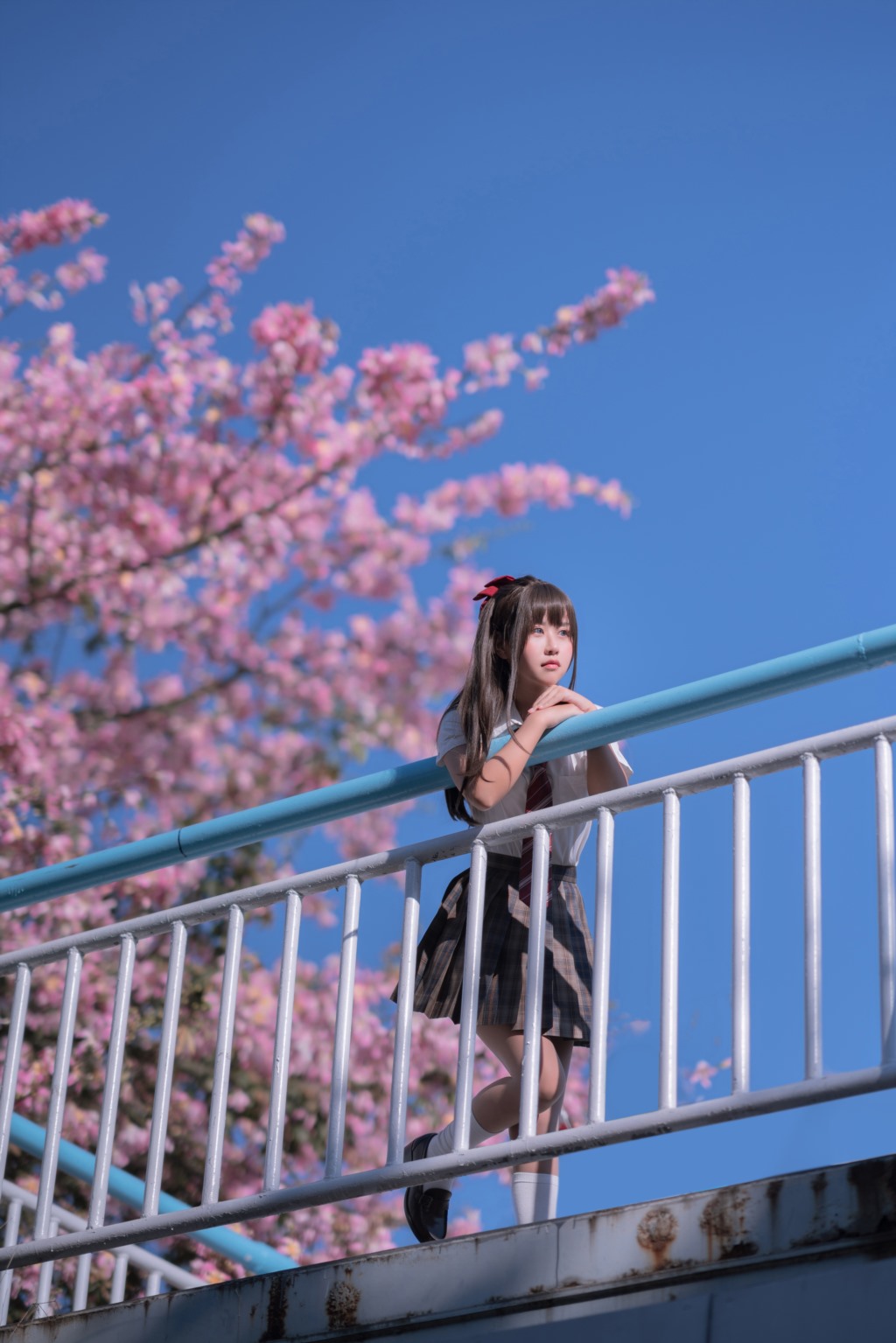 萌芽儿 – 异木棉花