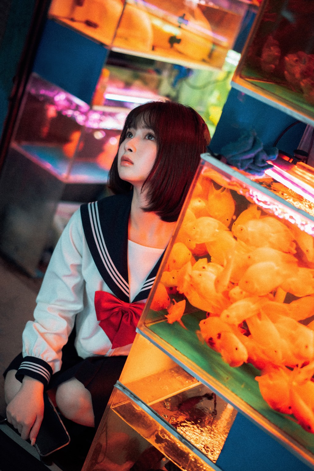 河豚抚子 – 金鱼JK