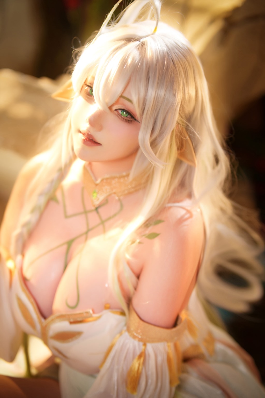 菌烨tako 大慈树王