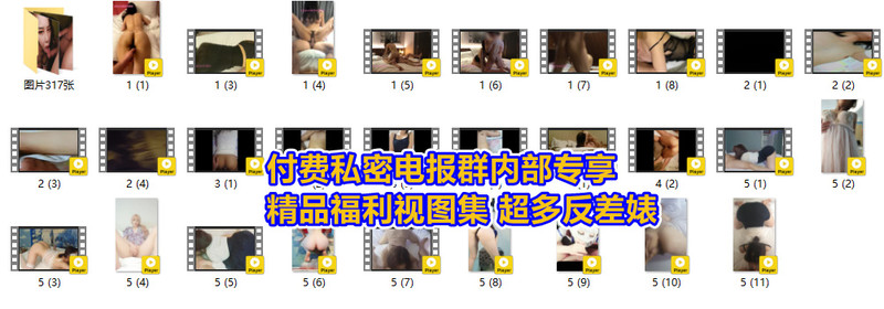 付费私密电报群内部专享精品福利视图集[317P/28V/6970MB]