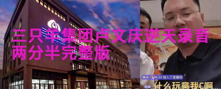 三只羊集团CEO卢文庆邢道荣电话会议13分钟录音门事件两分半完整版