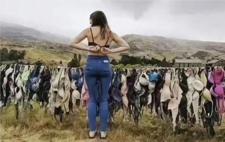 新西兰奇景：卡迪罗纳胸罩篱笆