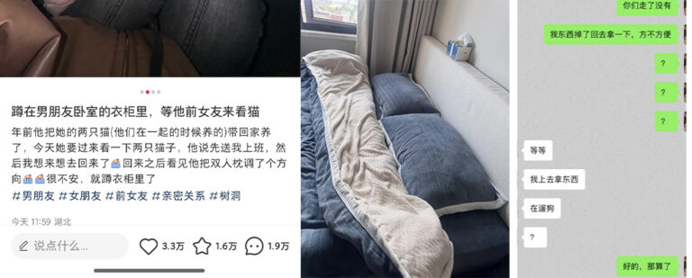 太委屈了！网友心碎小猫蹲衣柜没想到撞破奸情男友与前女友私会