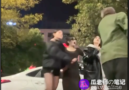 河南郑州三女子街头拍视频无辜被路过老头暴打