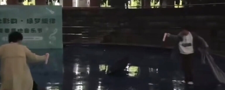 太抽象了！浙江横店影视职业学院当代大学生手持假阳具雨中决战