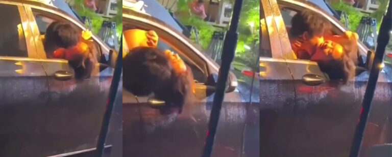 世界就是一个巨大的play逆天情侣路边车震全开放模式太开门