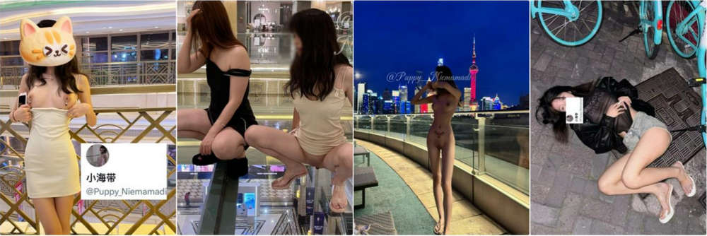 在校乳环白虎少女『小海带』私拍福利(12V)